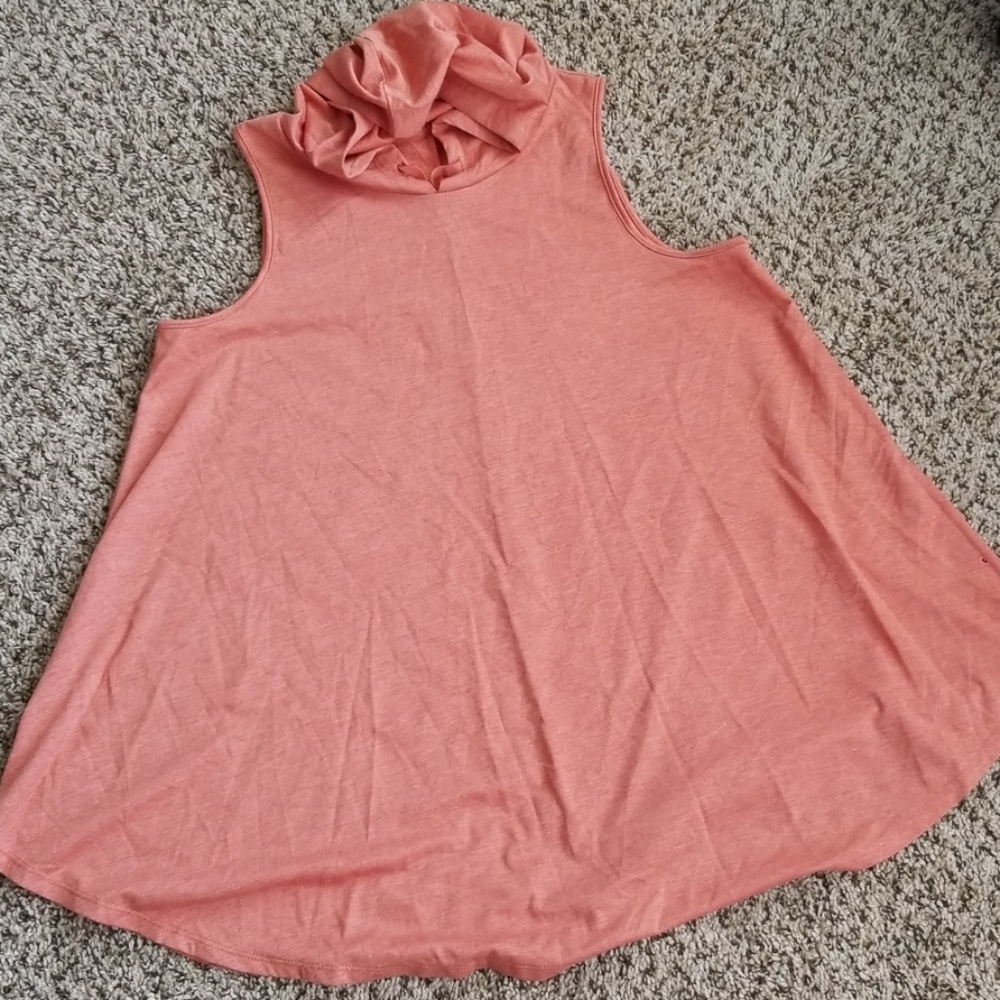 Cute sleeveless hoodie.